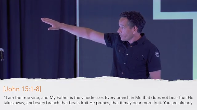 John 15:1-8 NIV on screen