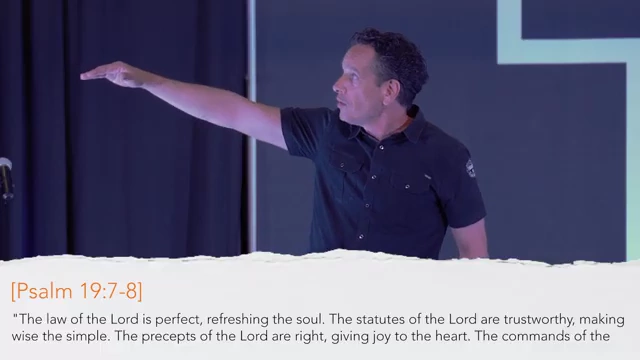 Psalm 19:7-8 NIV on screen