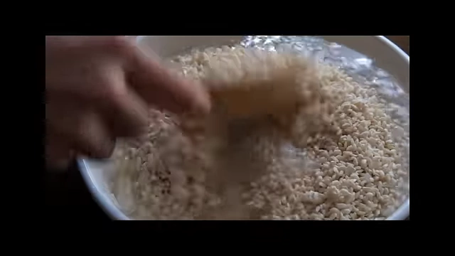 Close-up of glutinous rice being prepared for mirin fermentation.