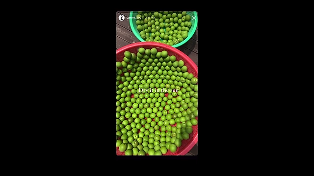 Unripe green plums laid out in a basket, used for making maesil-cheong.
