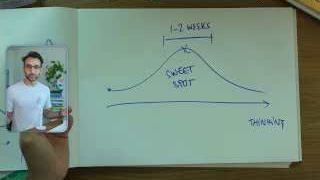 A bell curve illustrating the "sweet spot" of 1-2 weeks for thinking about your niche and offer, avoiding underthinking or overthinking