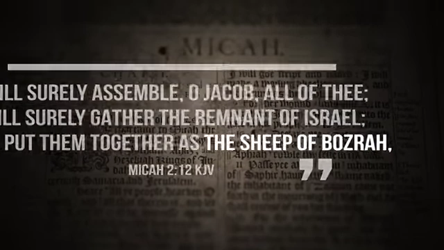Biblical text from Micah 2:12 KJV, "I will surely gather the remnant of Israel; I will put them together as the sheep of Bozrah"
