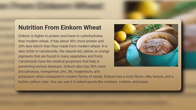 Einkorn的营养成分