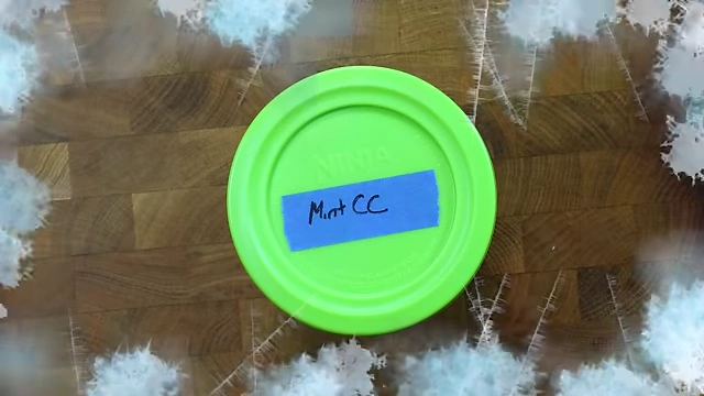 Mint Chocolate Chip ice cream base labeled and ready for 24-hour freezing.