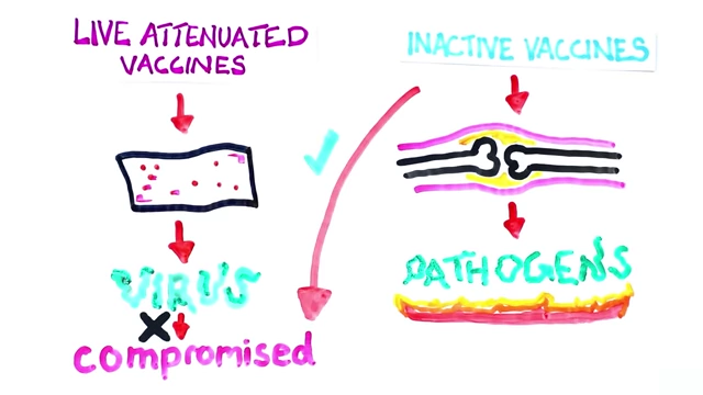 A diagram illustrating inactive vaccines, which use killed pathogens, highlighting their safety for weakened immune systems but often requiring multiple doses for long-lasting immunity.