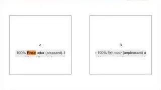 A split image comparing two rooms, one with a pleasant rose odor and the other with an unpleasant fish odor, used in a study on smell and beauty perception.