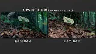 Low Light: LOG (Graded with Chromex) Comparison
