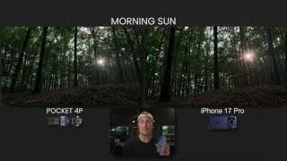 Morning Sun Comparison