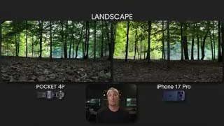 Landscape Stabilization Comparison