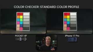 Color Checker: Standard Color Profile Comparison