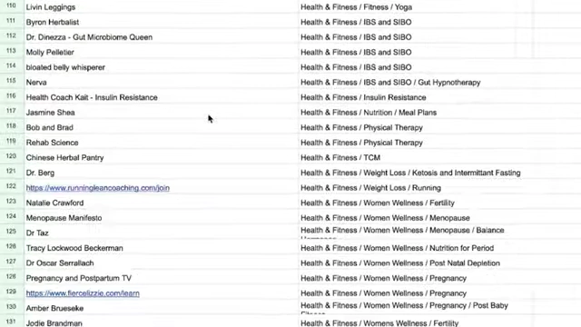 A spreadsheet displaying various health & fitness niches and sub-niches, demonstrating the type of data analysis needed to identify underserved markets.