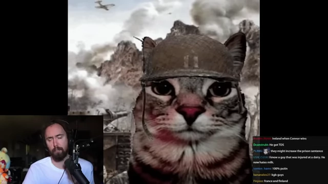 Cartoon cat wearing a helmet in an exploding battlefield, symbolizing the brutality of war and possible disabilities