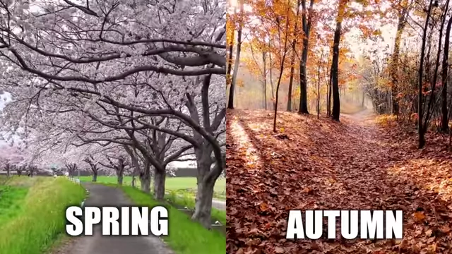 Comparison of Spring and Autumn Scenery