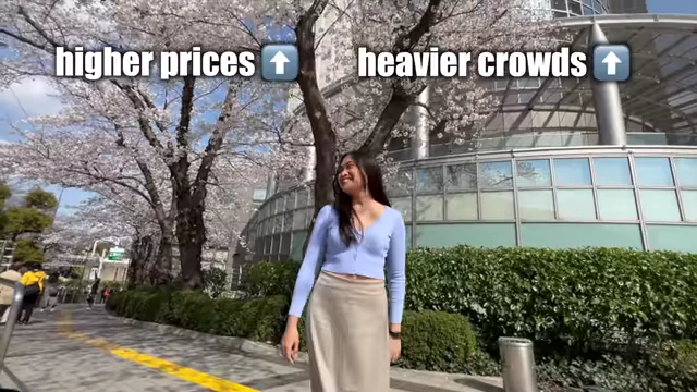 Higher Prices and Heavier Crowds in Peak Season
