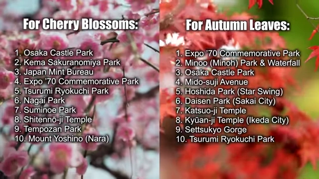 Best Spots for Cherry Blossoms and Autumn Leaves in Osaka