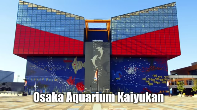 Osaka Aquarium Kaiyukan