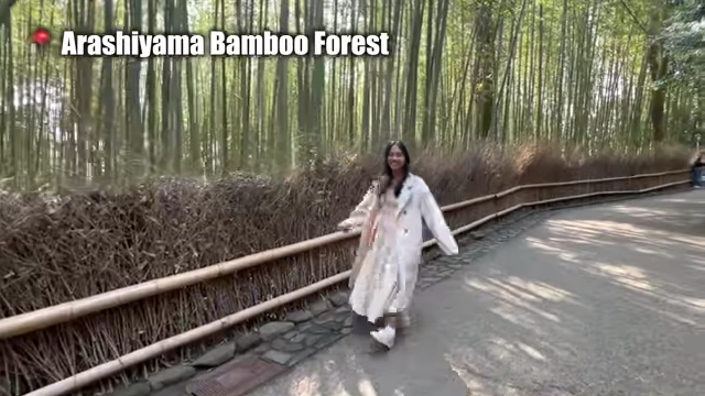 Arashiyama Bamboo Forest