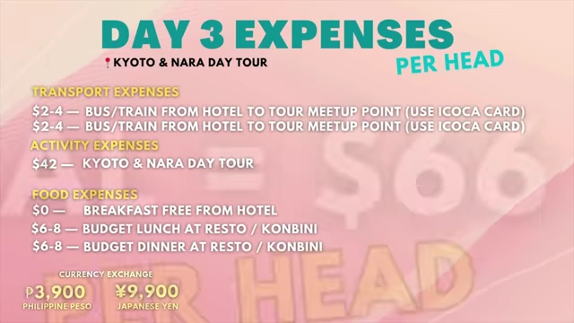 Day 3 Expenses Breakdown