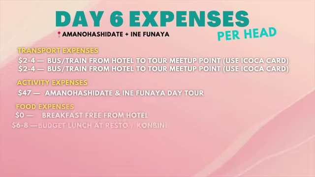 Day 6 Expenses Breakdown