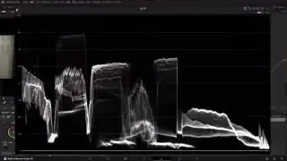 Waveform scope showing proper exposure for color correction, with values distributed across the mid-range.