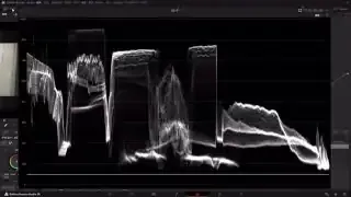 Waveform scope adjusted to bring the average brightness closer to the middle, maximizing dynamic range.