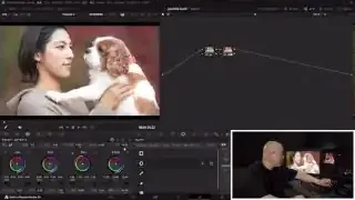 Midtone Detail control in DaVinci Resolve, which can be adjusted to soften or enhance textures like fur.