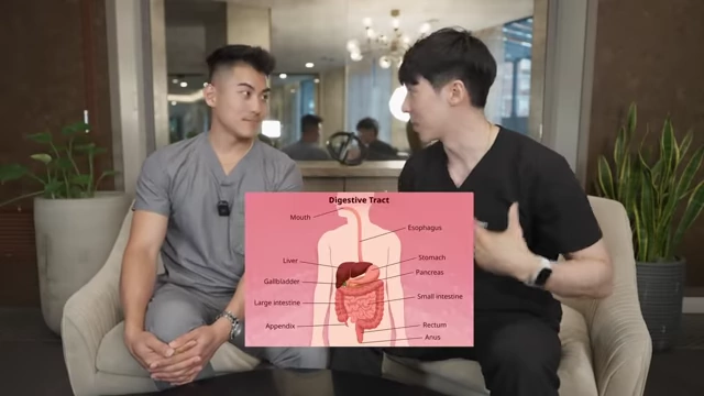 Diagram showing the human digestive tract, indicating how issues beyond the mouth can cause bad breath