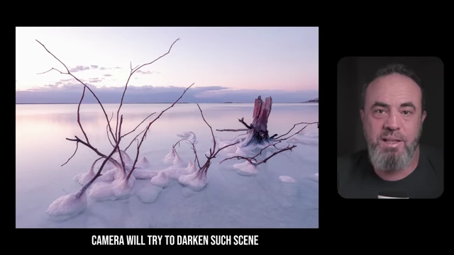 A bright scene (snowy landscape) that the camera's light meter would try to underexpose