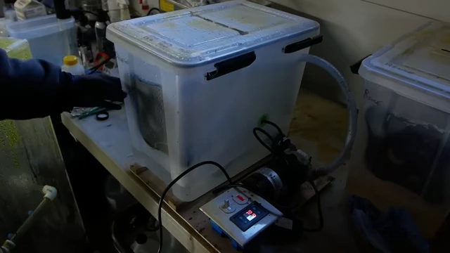 The homemade developer setup, a plastic tub connected to an external pump and control unit, used for processing the photoresist.
