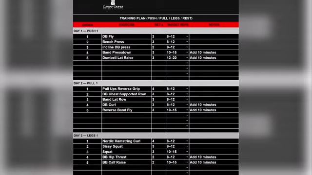 A detailed training plan outlining exercises, sets, and reps for push, pull, and legs workouts.