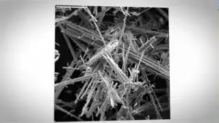 Asbestos Fibers Under a Microscope