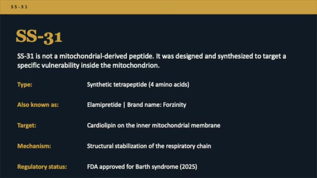 Key characteristics of SS-31, including its synthetic origin and target.