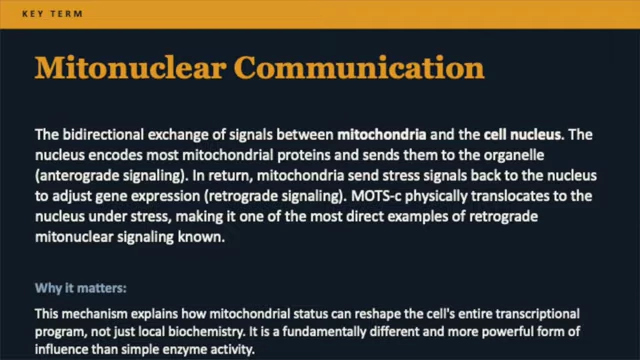 Definition and significance of Mitonuclear Communication.