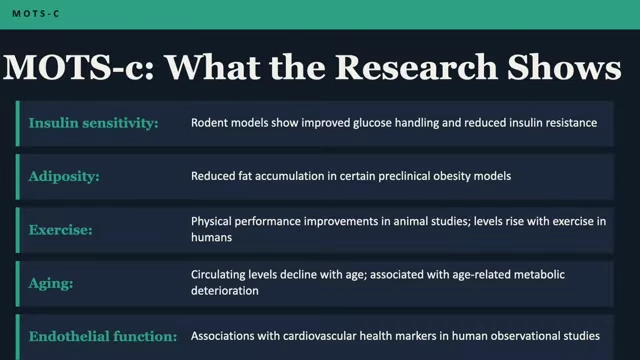 Key research findings on MOTS-c.