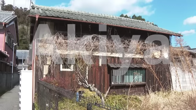 An overgrown, abandoned Akiya highlighting its state of disrepair.