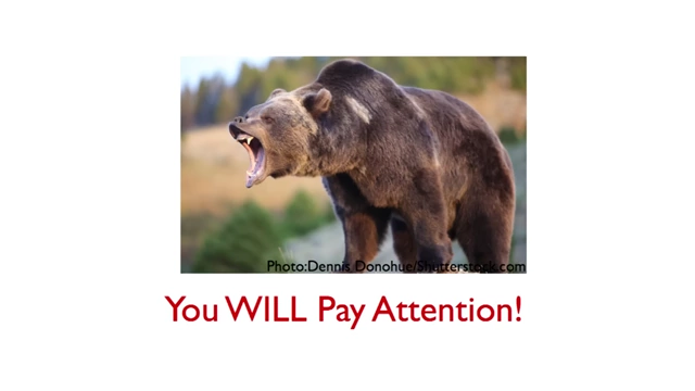 A grizzly bear roaring in a field, illustrating immediate attention to a threat