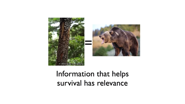 A visual representation connecting tree marks and a roaring bear to "Information that helps survival has relevance"