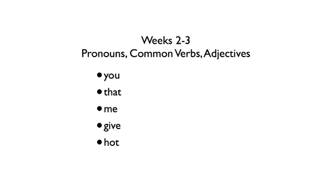 A slide listing simple pronouns, common verbs, and adjectives for Weeks 2-3 of language learning