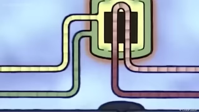 Molten Salt Reactor fuel draining for safety