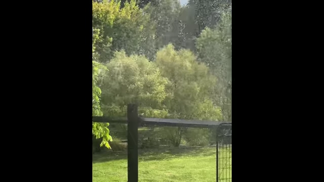 A garden sprinkler, demonstrating how the rain effect was conceptualized.