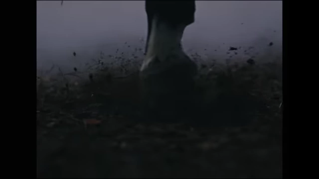 A horse's hoof kicking up dirt, a visual cue for sound design.