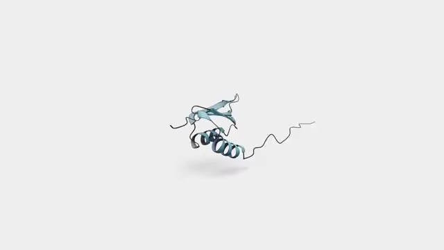 An illustration showing a linear chain of amino acids folding into a complex 3D protein structure