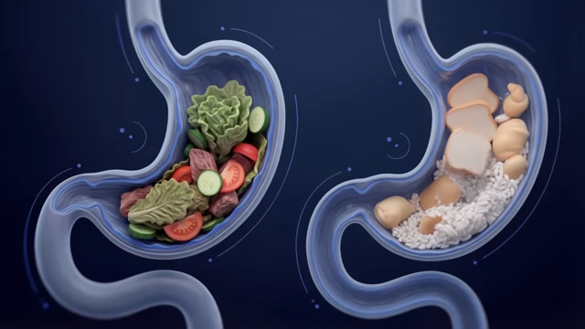A diagram comparing two stomachs, illustrating how a meal of fiber-rich vegetables and lean protein creates more volume and fullness than calorie-dense processed foods