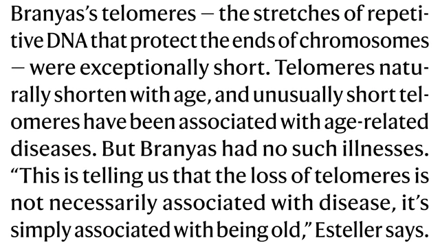 Text from an article describing a 117-year-old woman with exceptionally short telomeres, questioning the definitive link to health