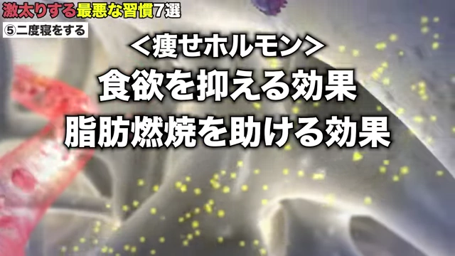 痩せホルモンが食欲を抑える