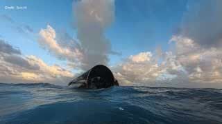 Remains of Starship 39 floating in the ocean after a splashdown.