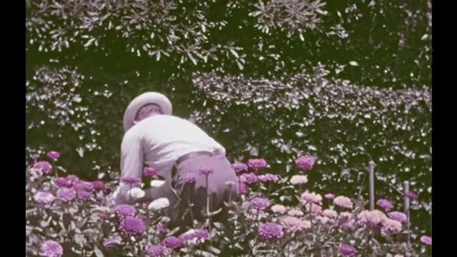 A person in a hat works in a garden, surrounded by purple and white flowers, illustrating consistent, repetitive effort.