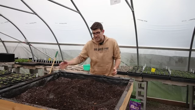 通用盆栽土可直接用于高架床