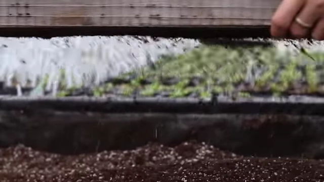 筛出的细粒介质