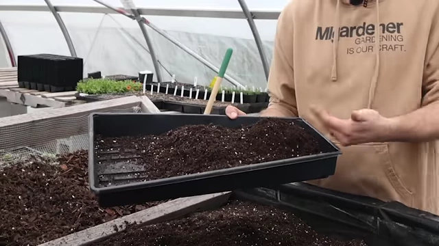 筛出的细粒介质与商业育苗土的对比